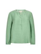 Wa-Caysa Green Wasabiconcept