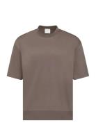 Ss Mercerized Interlock Cuff Cre Brown Calvin Klein