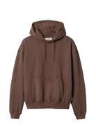 Wbsho Washed Hoodie Brown Woodbird