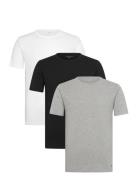 Stretch Cn Tee Ss 3Pack White Tommy Hilfiger