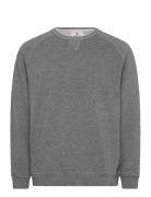 Aktoni Basic Sweat Grey Anerkjendt
