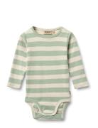 Body L/S Freddie Green Wheat