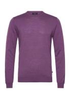 Margrate Purple Matinique