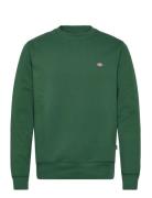 M Oakport Sweatshirt Green Dickies