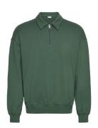 Sdowney Green Solid