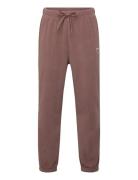 Hmljr Fleece Pants Bee Brown Hummel