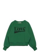 Shark Kid Sweatshirt Green Green THE ANIMALS OBSERVATORY