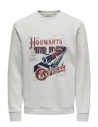 Onsxmas Reg Crew Hp Grey ONLY & SONS