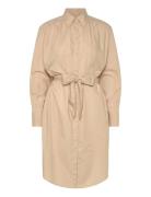 C_Delegant_1 Beige BOSS