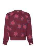 Stars Shark Sweatshirt Burgundy THE ANIMALS OBSERVATORY