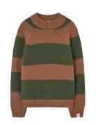 Stripes Brown Boxfish Sweater Brown THE ANIMALS OBSERVATORY