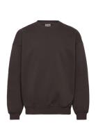 Onsturner Life Vtg Crew Neck Sweat Noos Brown ONLY & SONS