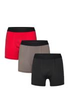 Lwaiko 202 - 3-Pack Boxers Black Lego Wear