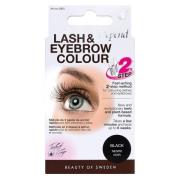 Depend Lash And Eyebrow Colour - Black