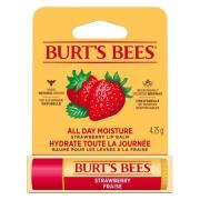 Burt's Bees Lip Balm Strawberry Blister 4,25 g