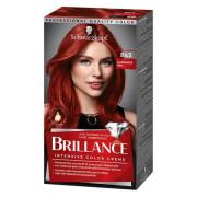 Schwarzkopf Brillance Intensive Color Creme 842 Cashmere Red