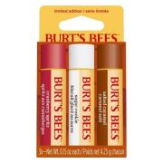 Burts Bees Cozy Season Lip Balm Gift Set