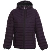 Dobsom Women's Austin Jacket Wine