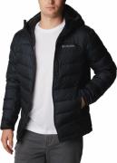 Columbia Men's Autumn Park Down Hooded Jacket Black