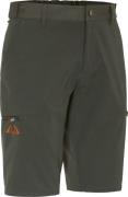 Swedteam Men's Lynx Light Shorts Swedteam Green