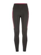 Craft Women's Adv Essence Tights 2 Slate/Fuchsia