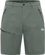 Jack Wolfskin Men's Pico Trail Shorts Slate Green