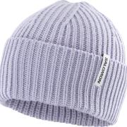 Salomon Snowbird Beanie Cosmic Sky