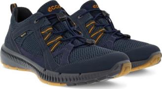 Ecco Men's Ecco Terracruise II Gore-Tex Marine/Night Sky