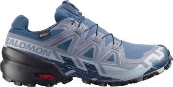Salomon Men's Speedcross 6 GORE-TEX Spellbound/Black/Tradewinds
