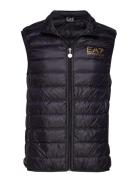 Down Vest Liivi Black EA7