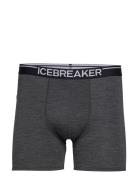 Men Anatomica Boxers Bokserit Grey Icebreaker