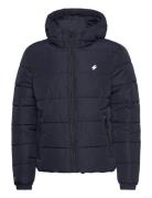 Hooded Sports Puffr Jacket Vuorillinen Takki Topattu Takki Navy Superd...