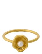 Hidden Pearl Ring Sormus Korut Gold Pernille Corydon