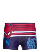 Board Short Swimwear Uimashortsit Navy Spider-man