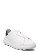 U Spherica Ec4.1 A Matalavartiset Sneakerit Tennarit White GEOX
