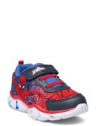 Spiderman Sneakers Matalavartiset Sneakerit Tennarit Multi/patterned S...
