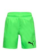 Puma Swim Boys Medium Length Shorts Uimashortsit Green Puma Swim