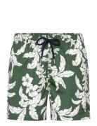 Palm Lei Print Swim Shorts Uimashortsit Green GANT