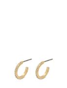 Roberta Accessories Jewellery Earrings Hoops Gold Pilgrim