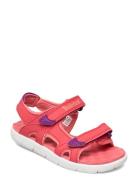 Perkins Row Backstrap Sandal Cayenne Shoes Summer Shoes Sandals Pink T...
