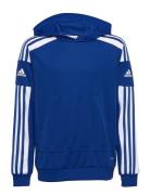 Squadra21 Hoody Youth Sport Sweat-shirts & Hoodies Hoodies Blue Adidas...