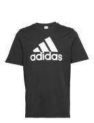 Essentials Single Jersey Big Logo T-Shirt Sport T-shirts Short-sleeved...