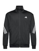 3-Stripe Knitted Jacket Sport Sweat-shirts & Hoodies Sweat-shirts Blac...