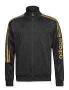 M Tiro Wm Tt Sport Sweat-shirts & Hoodies Sweat-shirts Black Adidas Sp...