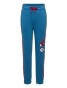 Jogging Pant Bottoms Sweatpants Blue Spider-man