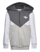 Hz Hoodie Sport Sweat-shirts & Hoodies Hoodies Grey Adidas Originals