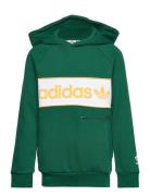 Hoodie Sport Sweat-shirts & Hoodies Hoodies Green Adidas Originals