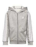 U 3S Fl Fz Hood Sport Sweat-shirts & Hoodies Hoodies Grey Adidas Sport...