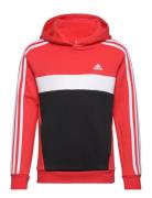 J 3S Tib Fl Hd Sport Sweat-shirts & Hoodies Hoodies Red Adidas Sportsw...