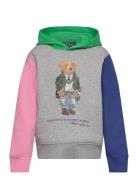 Polo Bear Color-Blocked Fleece Hoodie Tops Sweat-shirts & Hoodies Hood...